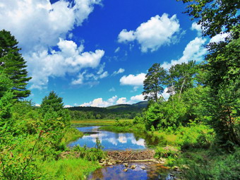 picture taken during a hike