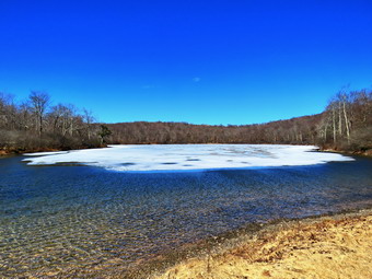 picture taken during a hike