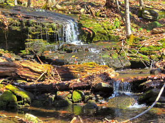 picture taken during a hike