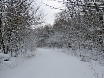 picture taken during a hike