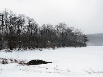 picture taken during a hike