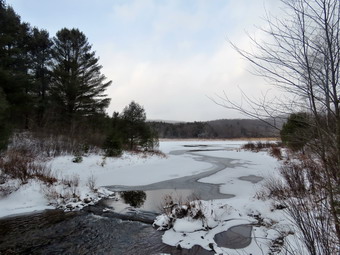 picture taken during a hike