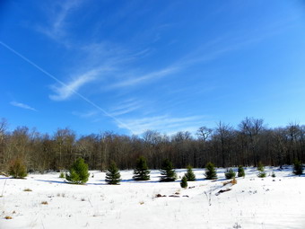 picture taken during a hike