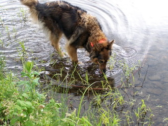 picture taken during a hike