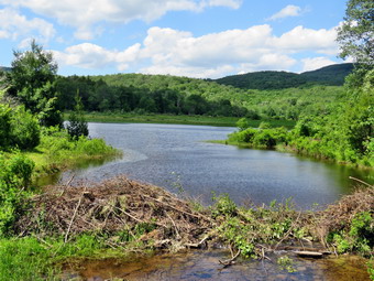 picture taken during a hike