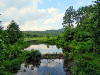 picture taken during a hike