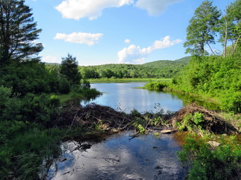 picture taken during a hike