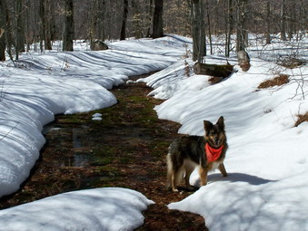 picture taken during a hike