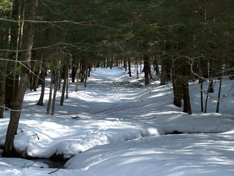 picture taken during a hike