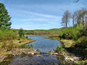 picture taken during a hike