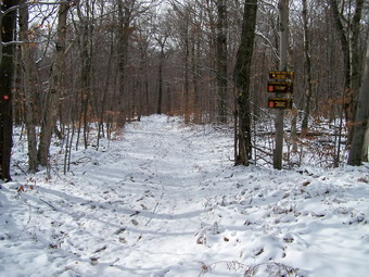 picture taken during a hike