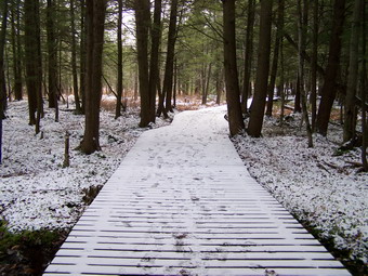 picture taken during a hike