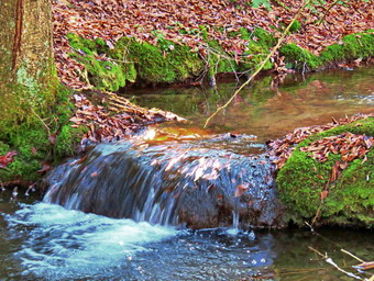 picture taken during a hike