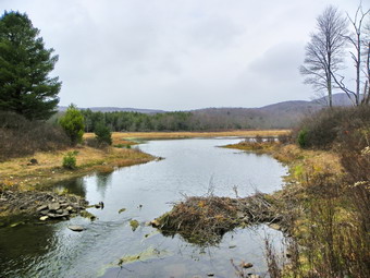 picture taken during a hike