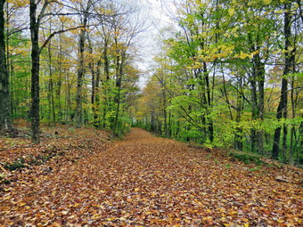 picture taken during a hike