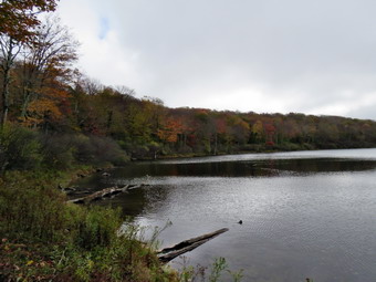 picture taken during a hike