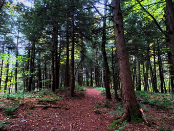 picture taken during a hike