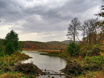 picture taken during a hike