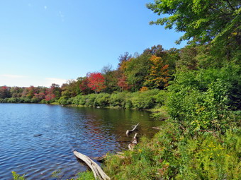 picture taken during a hike