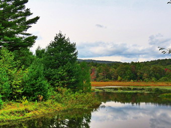 picture taken during a hike