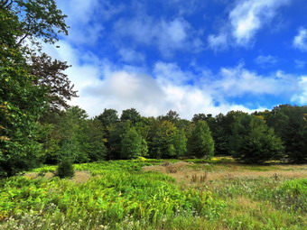 picture taken during a hike