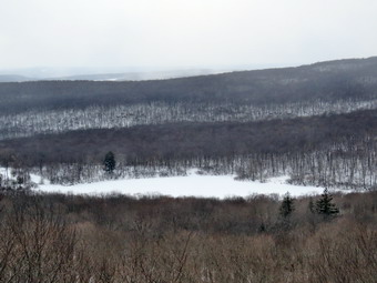 picture taken during a hike