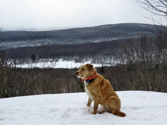 picture taken during a hike