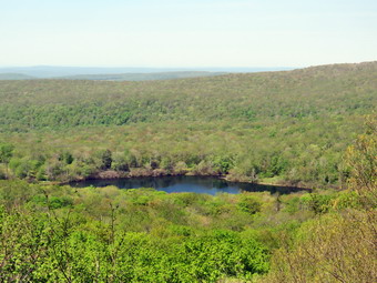 picture taken during a hike