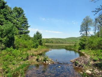 picture taken during a hike