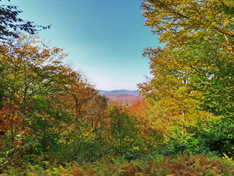 picture taken during a hike