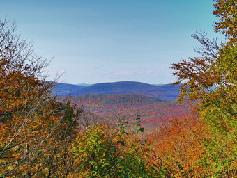 picture taken during a hike