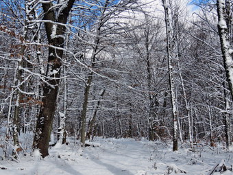 picture taken during a hike