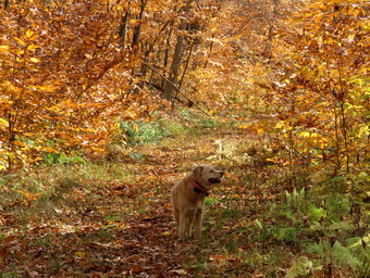 picture taken during a hike