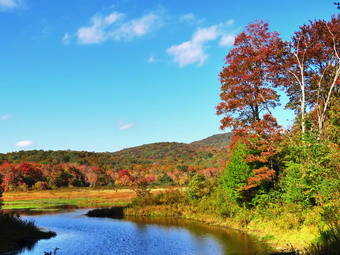 picture taken during a hike