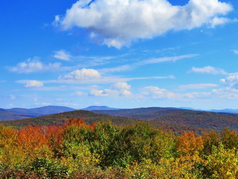 picture taken during a hike