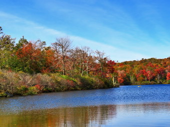 picture taken during a hike