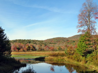 picture taken during a hike