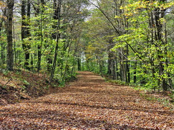 picture taken during a hike