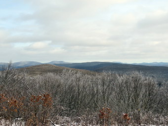 picture taken during a hike