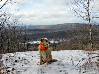 picture taken during a hike