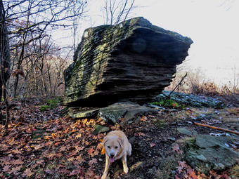 picture taken during a hike