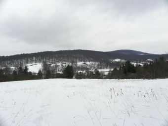 picture taken during a hike