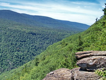 picture taken during a hike