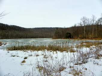 picture taken during a hike