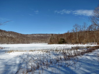 picture taken during a hike