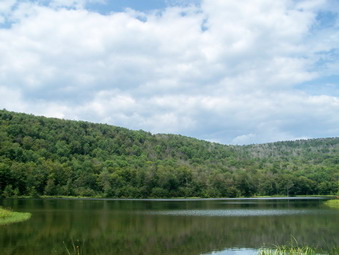 picture taken during a hike