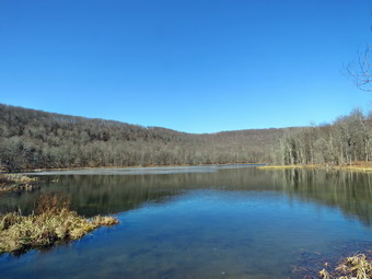 picture taken during a hike