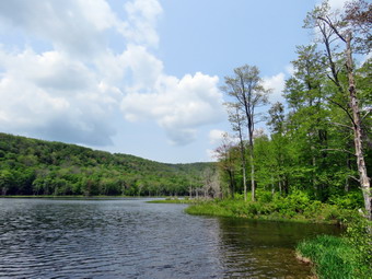 picture taken during a hike