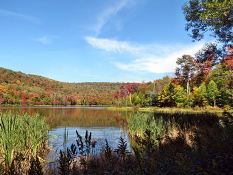 picture taken during a hike