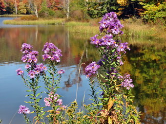 picture taken during a hike